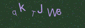 Validation image